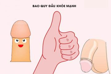 [Đặc điểm, Chức năng] Bao quy đầu bình thường ở nam giới