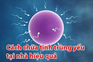 Mách bạn 10+ cách chữa tinh trùng yếu tại nhà đơn giản, hiệu quả